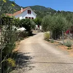 Pandora Apartament