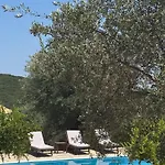 Pandora Apartament *